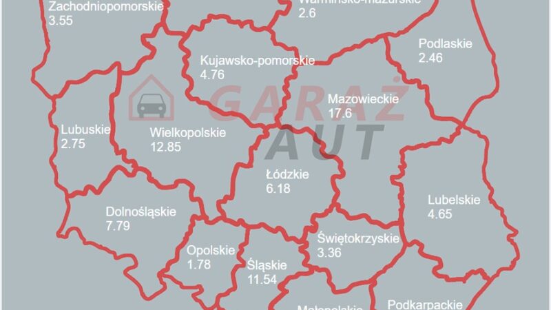 Sprzedaż samochodów w województwach statystyki procentowe luty 2024